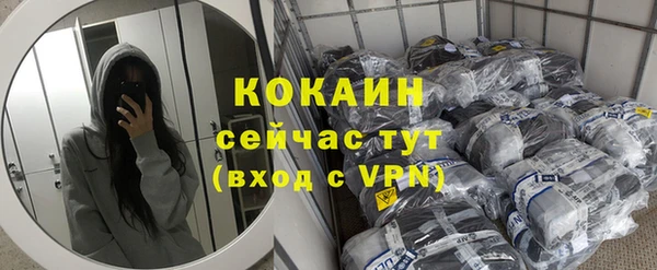 ALPHA-PVP Няндома