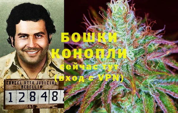 винт Новозыбков