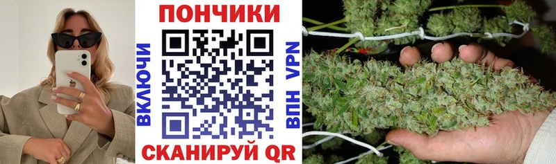 Конопля сатива Мураши